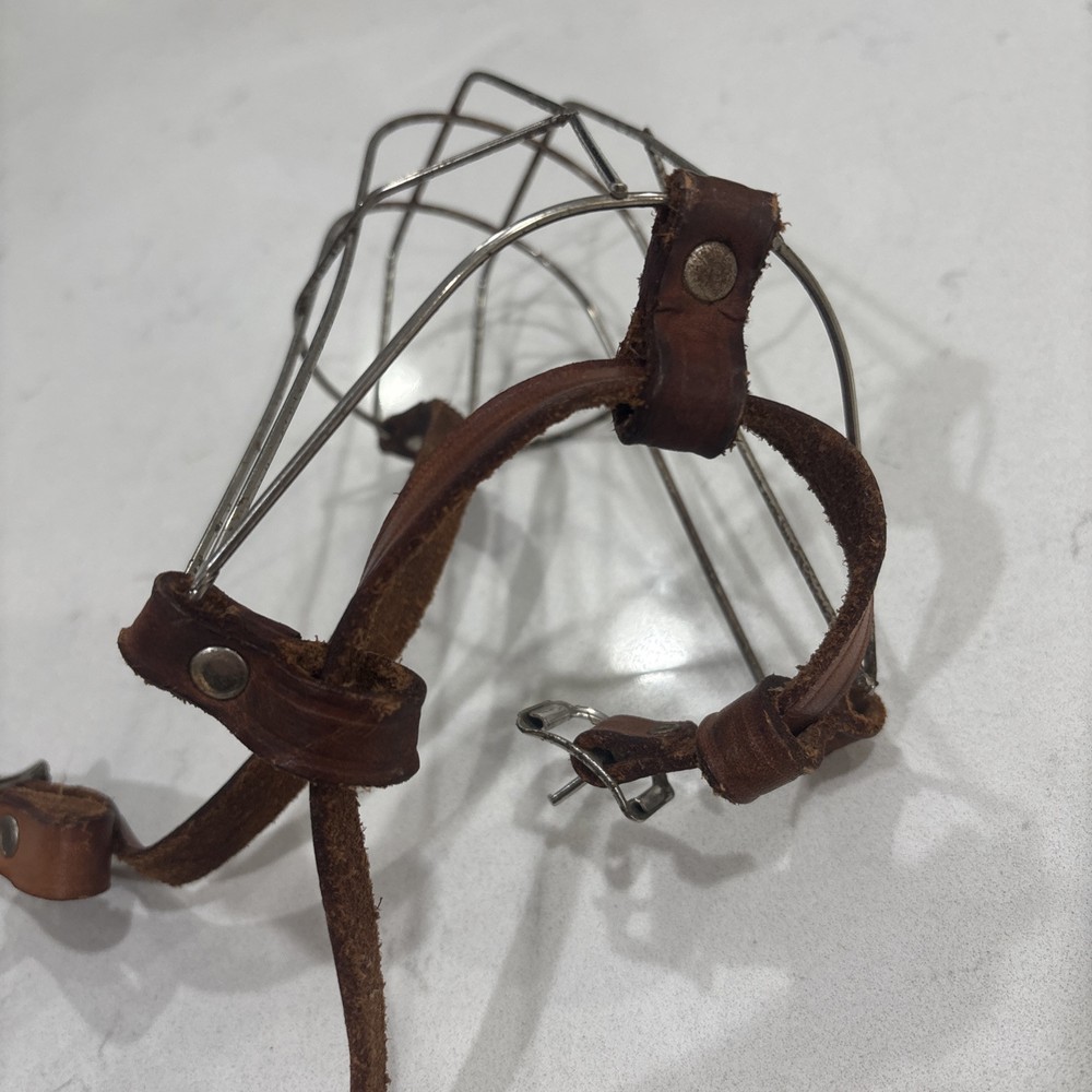 Dog Muzzle Adjustable Metal Wire Basket Leather Straps Small?