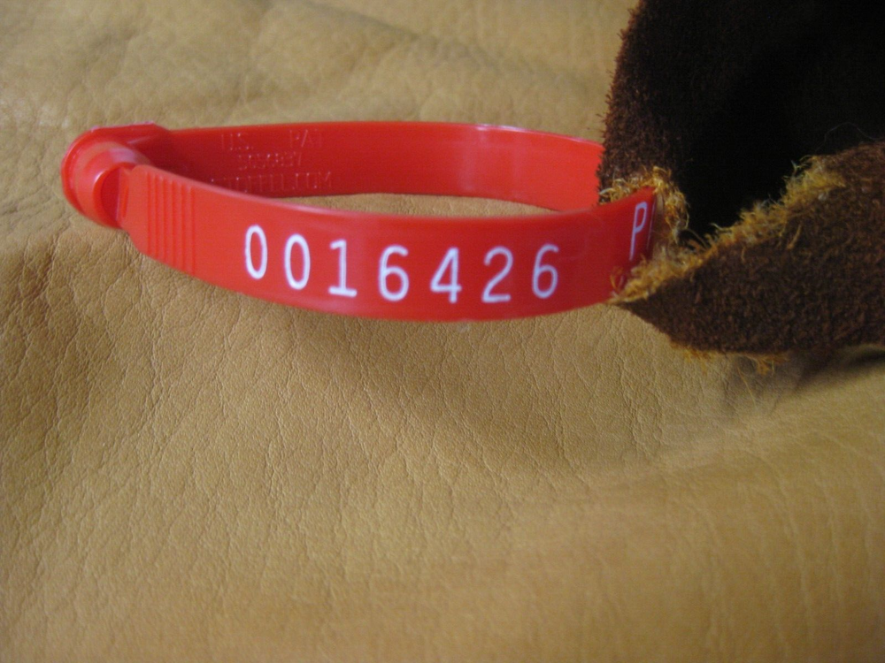 Cow Leather # 0016426 Row 44