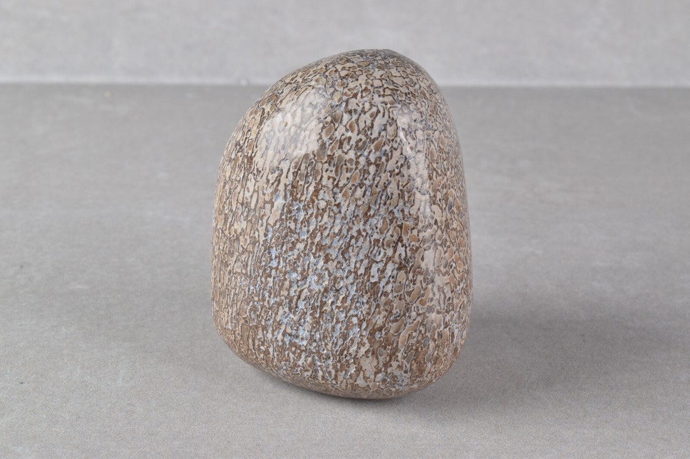 Fossilized Dinosaur Bone Polished from Morocco 4.6 cm # 19754