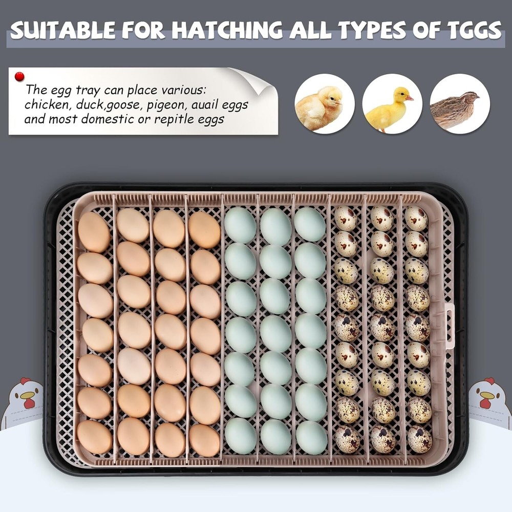 70 Egg Incubator for Hatching Eggs w/Automatic Egg Turning Temperature Control