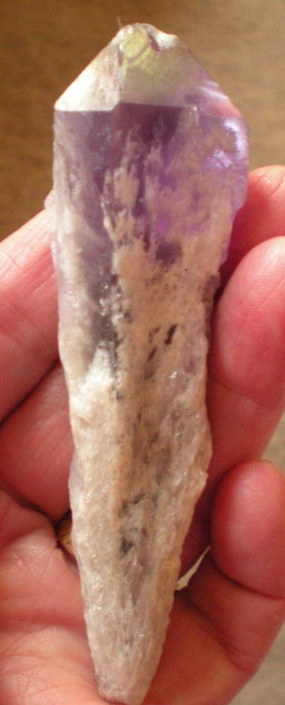 Amethyst Torch, Bahia Brazil xt377