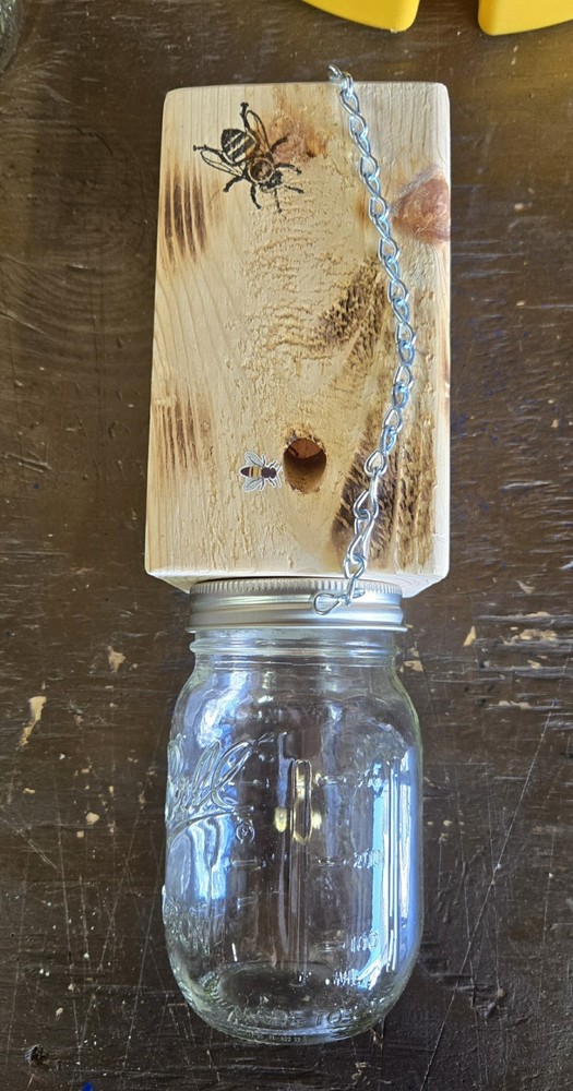 CARPENTER 'BORE' BEE TRAPS THAT WORK!