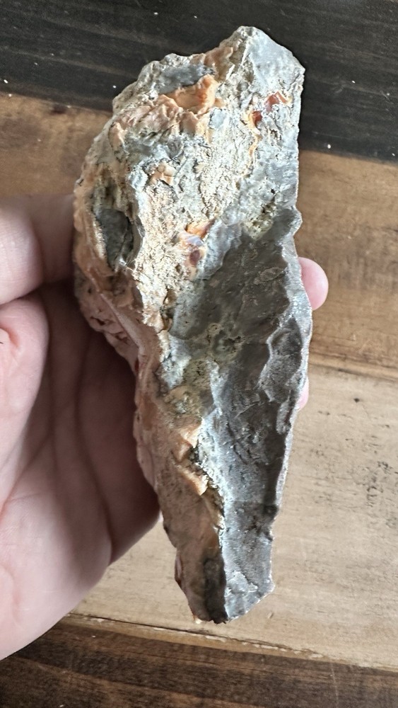 Opalized Petrified Wood For Display Specimen Rough Navada USA