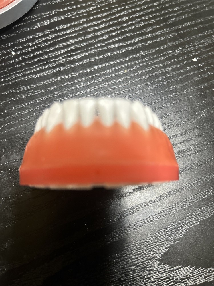 Perio Typodont Transparent Tissue with Calculus