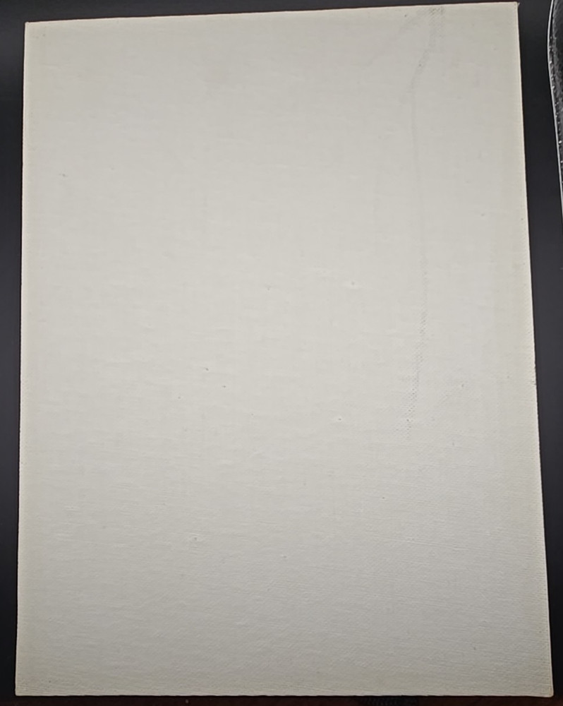 Fredrix Artist Canvas Panel Boards 3-Pack 9" x 12" Acrylic Primed White