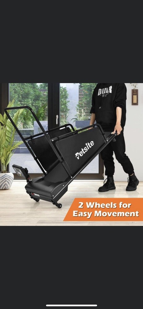 dog exercise equipment
