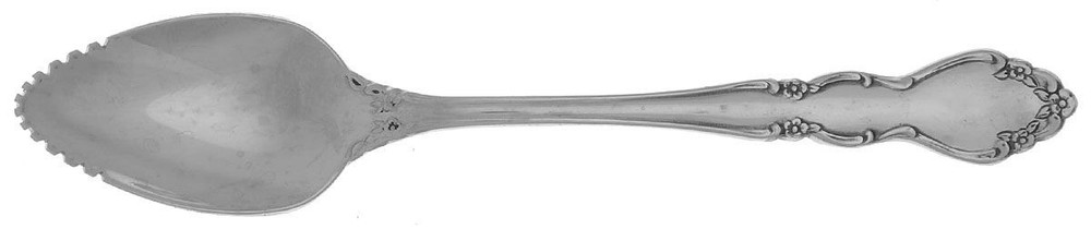 Oneida Silver Dover  Fruit Orange Spoon 491606
