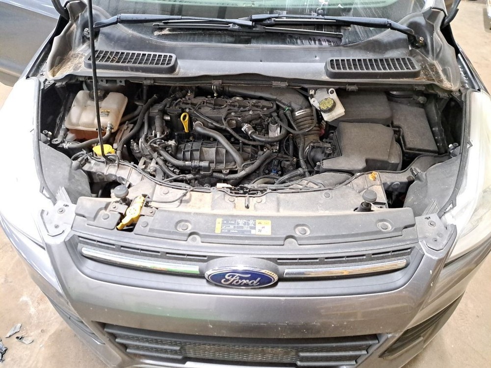 2013 Escape Jack Sku#4169411