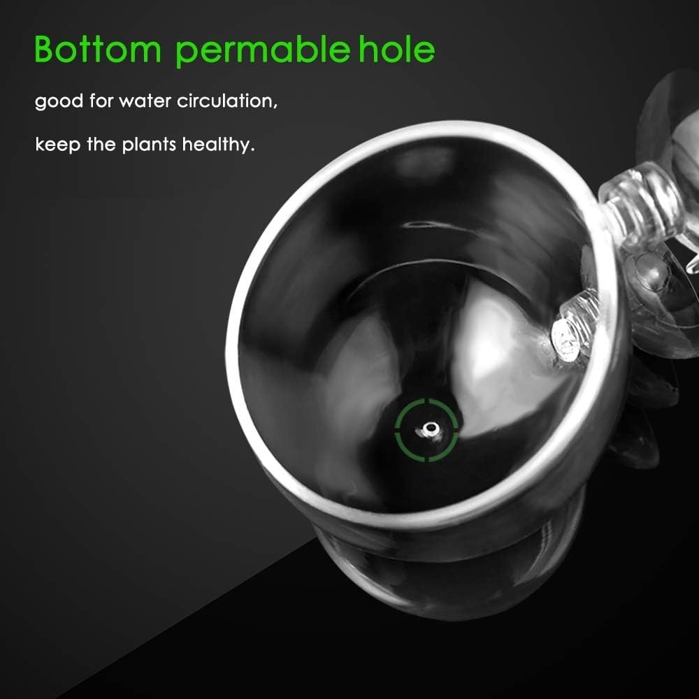 Crystal Glass Aquarium Plant Pot - 4 Pack