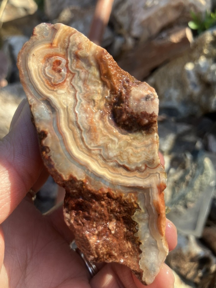 Crazy Lace Agate (rough)
