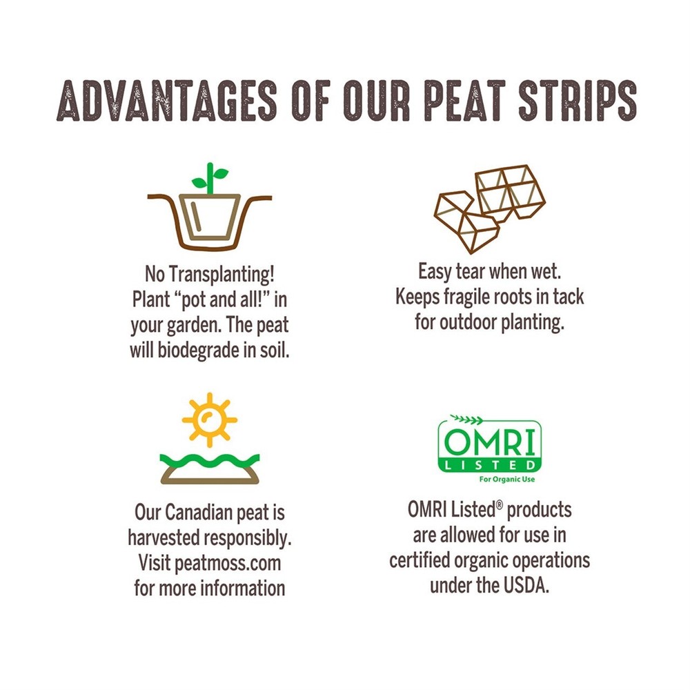 Jiffy JS50 10 Count x 5 Peat Moss Seed Starting Strips - 50 Seed Start Pots