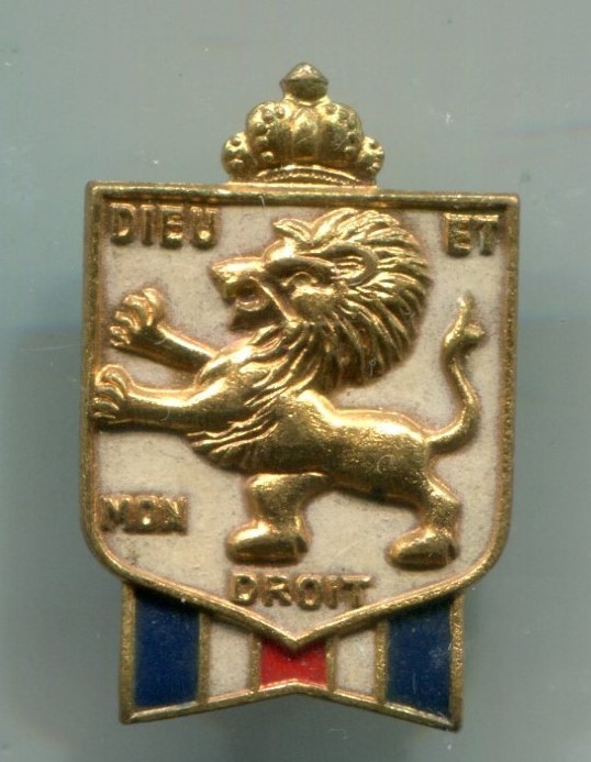 WW2 Bundles for Britain Relief Pin