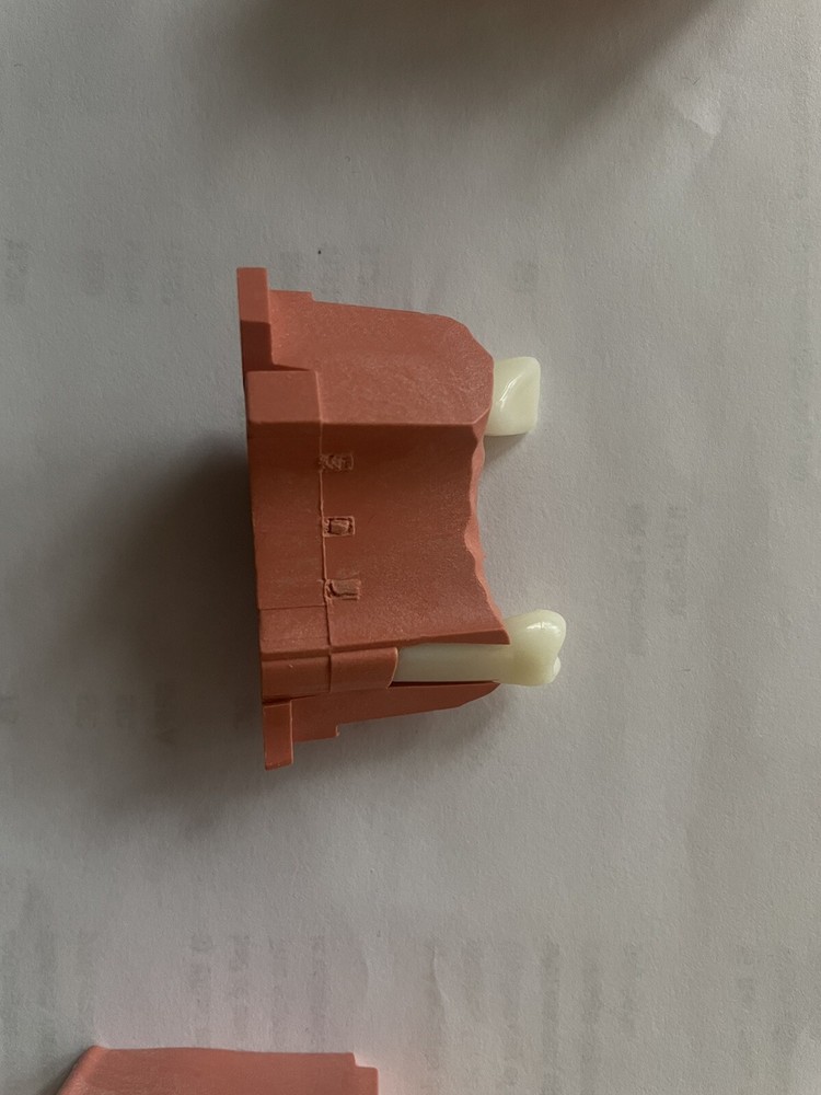 ACADENTAL ENDO Upper Anterior Module( M200)