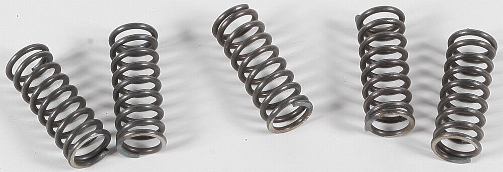 EBC CSK70 Clutch Springs CSK70