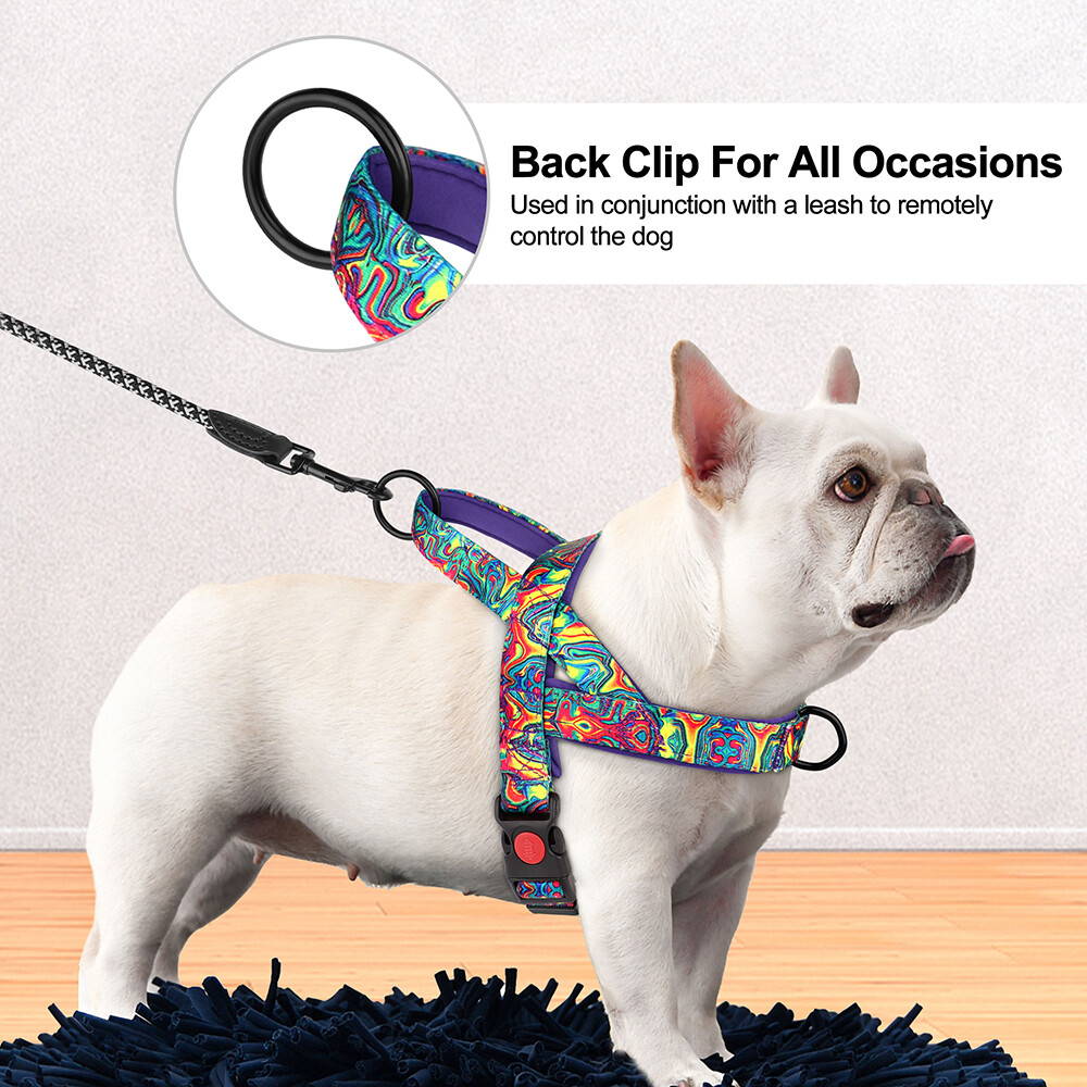 No Pull Dog Harness Nylon Soft Padded with Front Clip for Small Medium Large Dog
