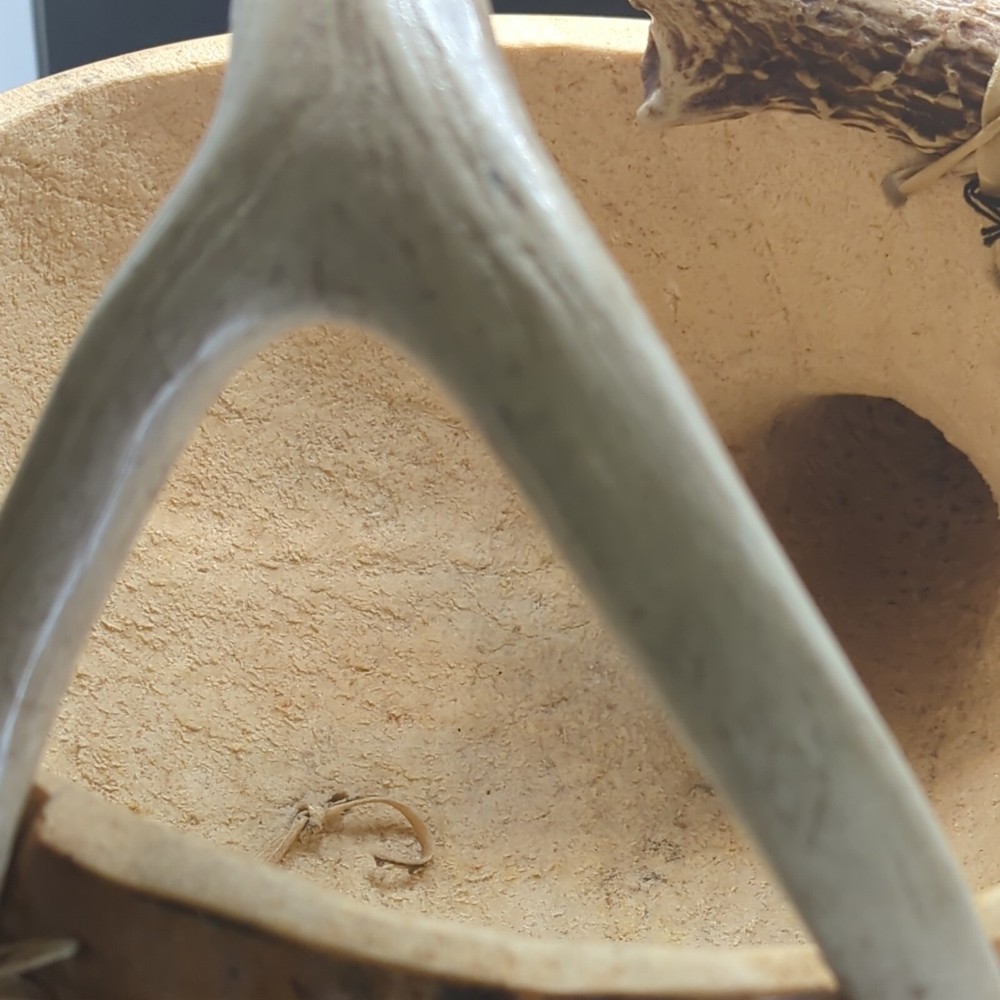 Large Gourd Bowl Cornucopia basket deer antler handle cabin rustic decor