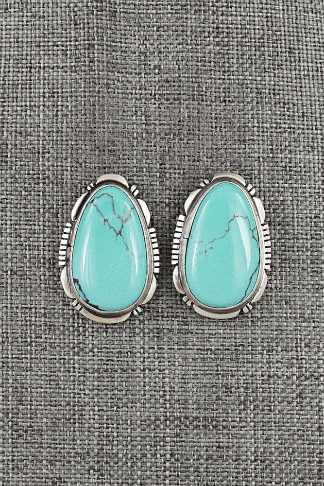 Turquoise & Sterling Silver Earrings - Thomas Francisco