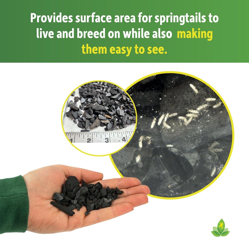 Charcoal (4 qt)