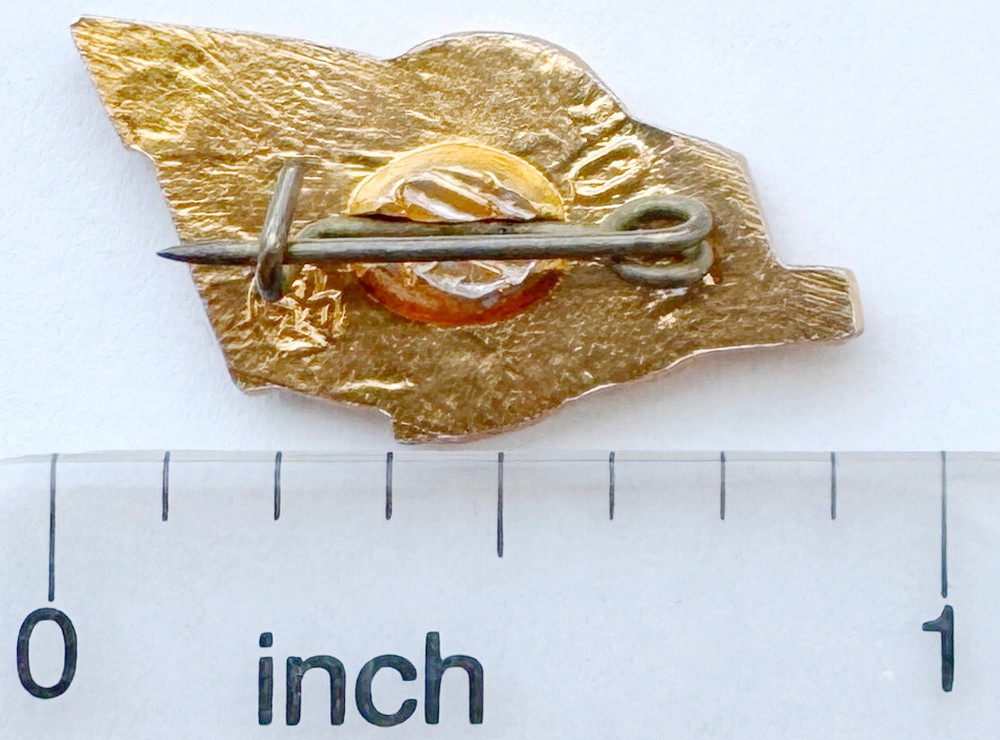 USSR SOVIET PIN BADGE. LENIN