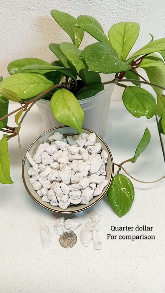 1 gal Horticultural extra course chunky Perlite grade 4 #4 size 4 large perlite