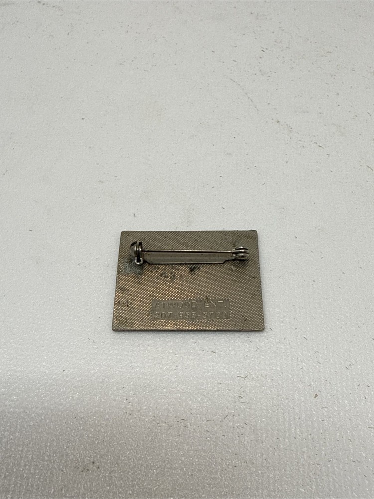 Vintage Brian Head Silver NASTAR Pin