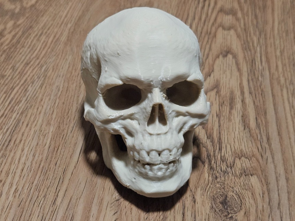 Mini Human Skull Replica – 3D Printed Bone Color Model – Realistic Gothic Decor