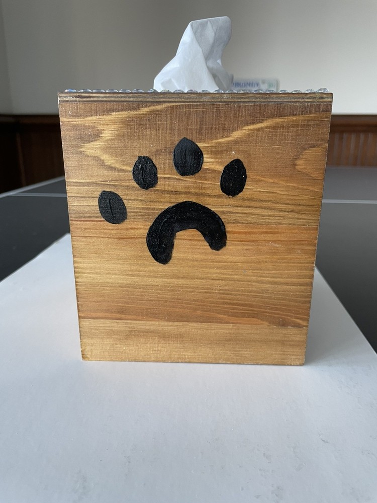 Hand Painted Tissue Box Holder Solid Wood cute orange tabby cat Decor