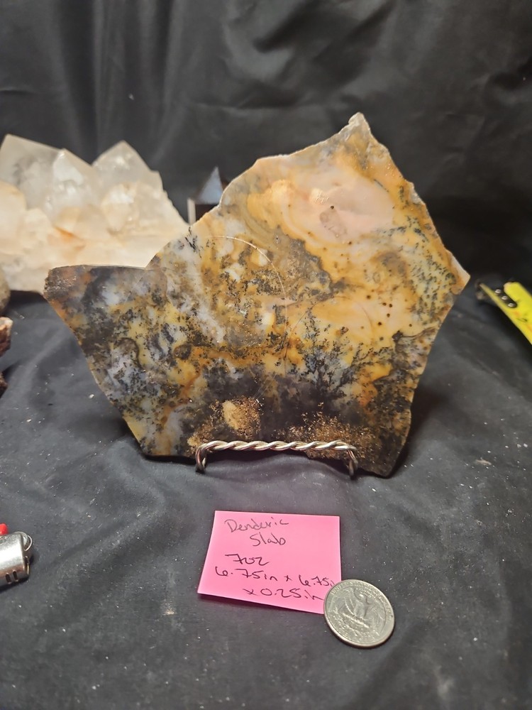 Dendric Slab Specimen (7oz)