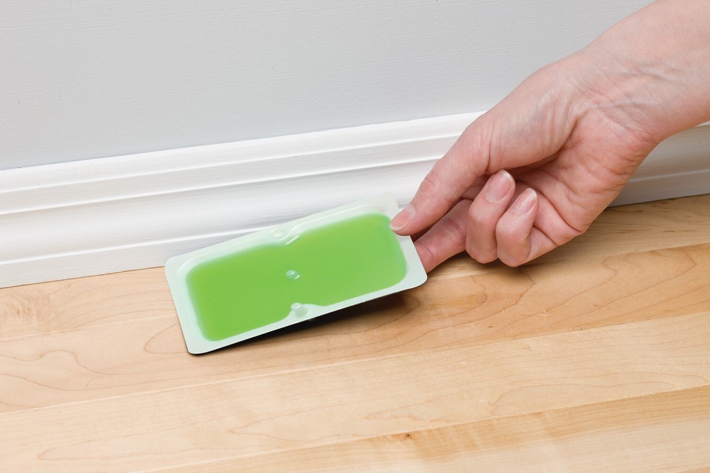 Tomcat Super Hold Glue Traps Mouse Size