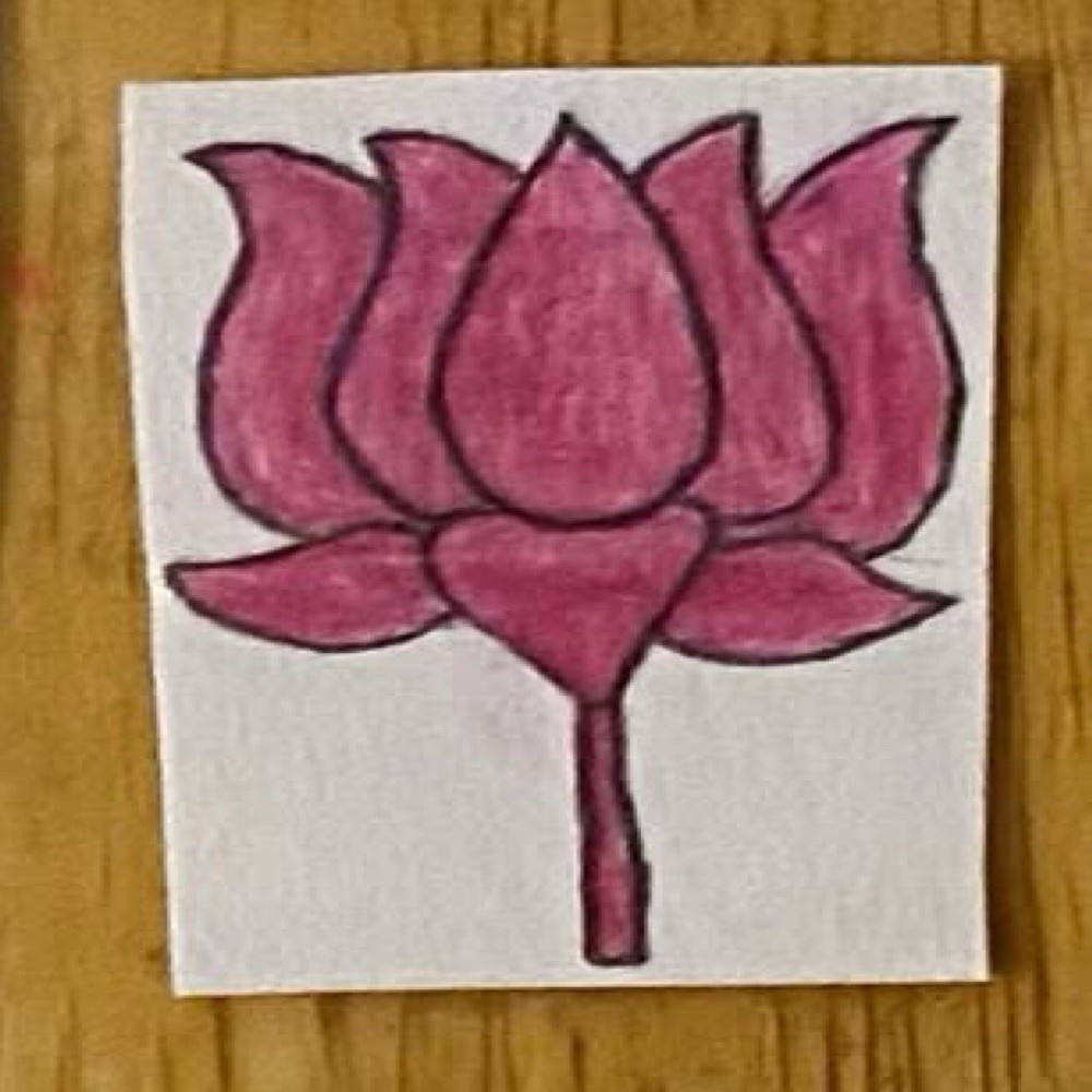 Hibiscus Flower Drawing