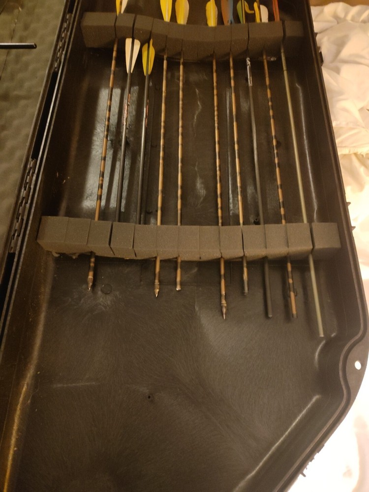 Darton Compound Bow w/Case