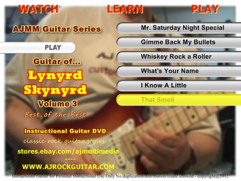 Custom Guitar Lessons, Learn Lynyrd Skynyrd v3