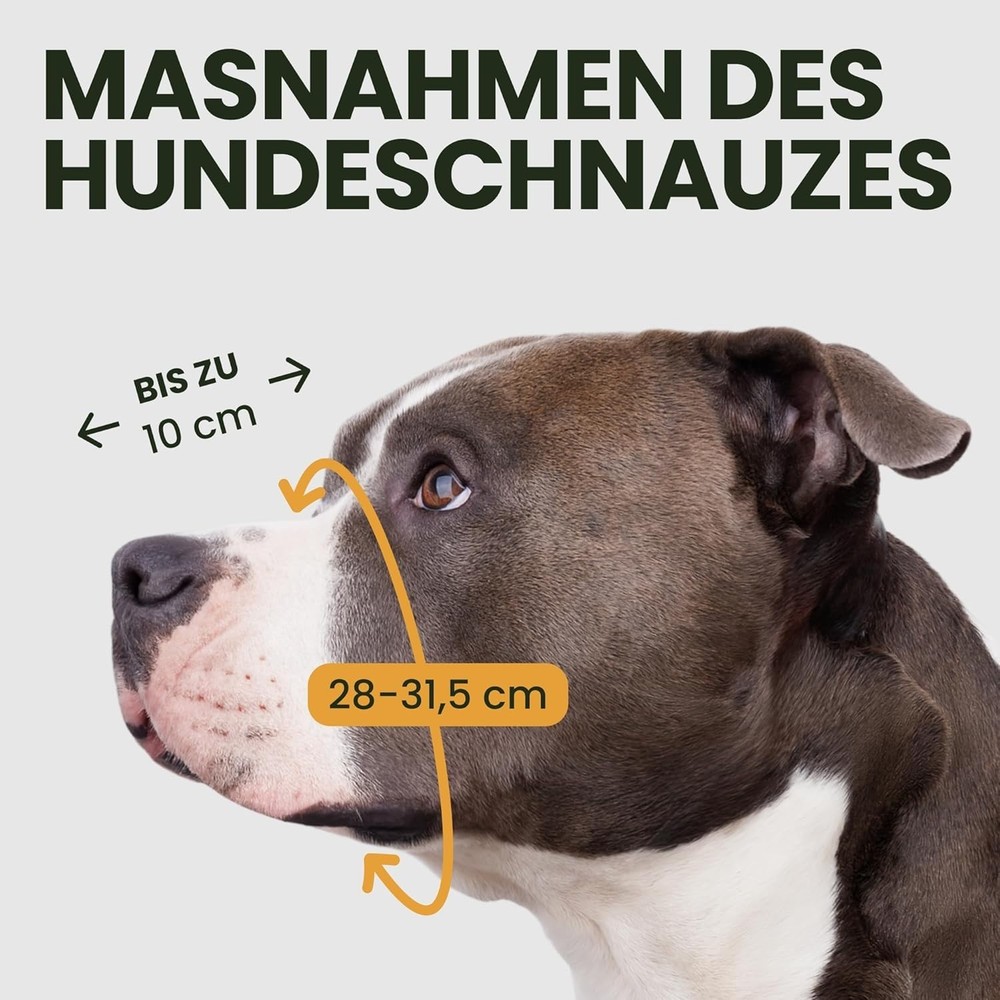 Pitbull Dog Muzzle Metal Mask Amstaff Wire Basket Pit Bull Adjustable Leather