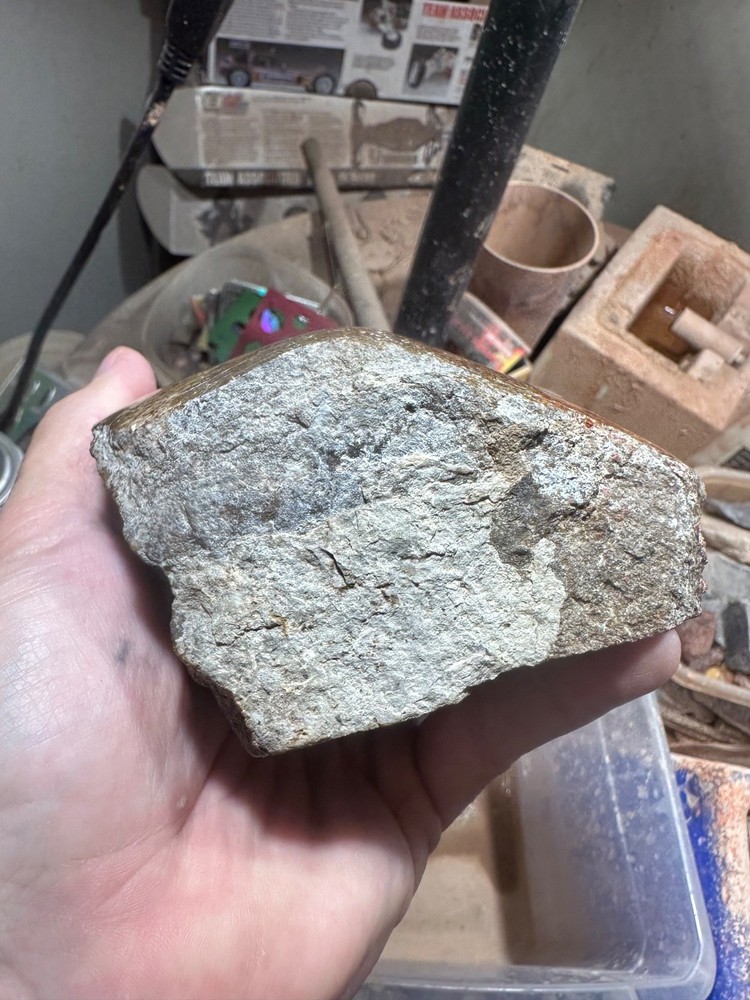 Dinosaur bone polished 3.5 lb large cell specimen.