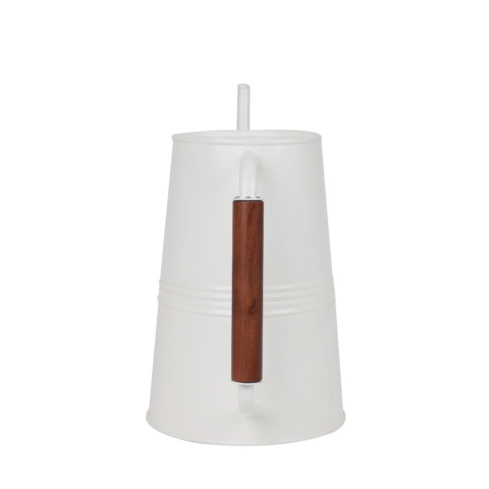 1-Gallon Metal Watering Can, White