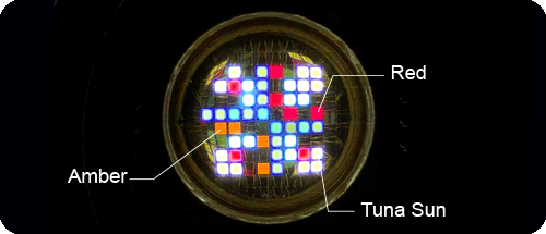 Kessil A360X Tuna Sun