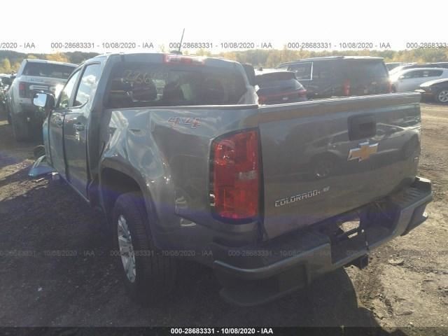 COLORADO 2019 Camera/Projector 1334254