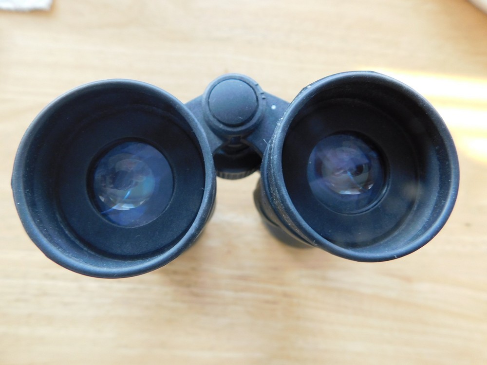 12x60 Binoculars Celestron SkyMaster