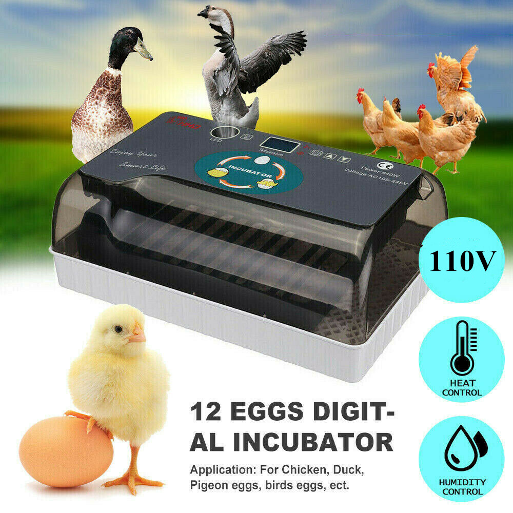 12 Eggs Incubator Automatic Egg Turning Chicken Quail Chick Hatcher Incubators