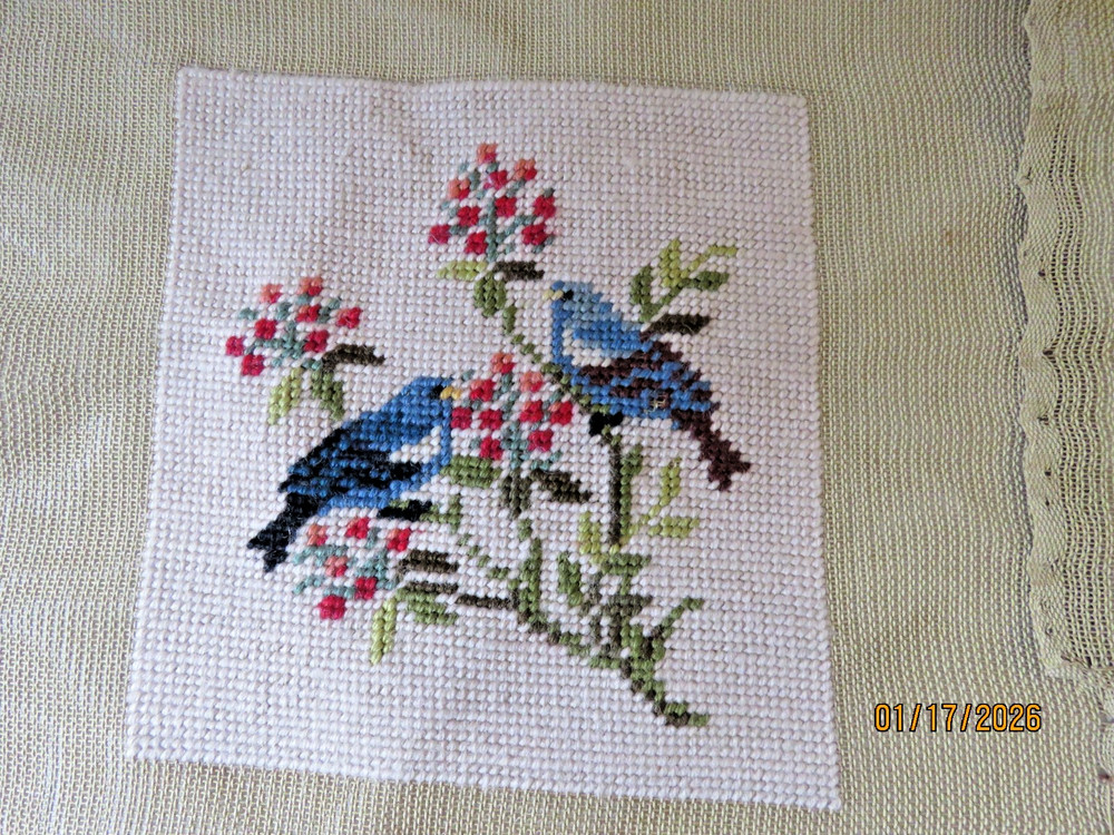 Completed Vintage Bucilla Decorator Wool Tapestry Needlepoints (2) Birds