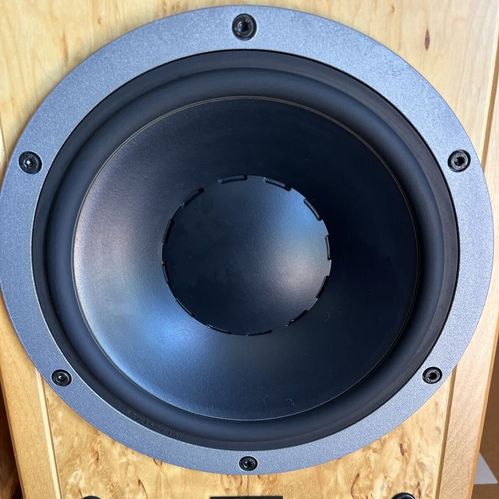 DYNAUDIO SP25 speakers