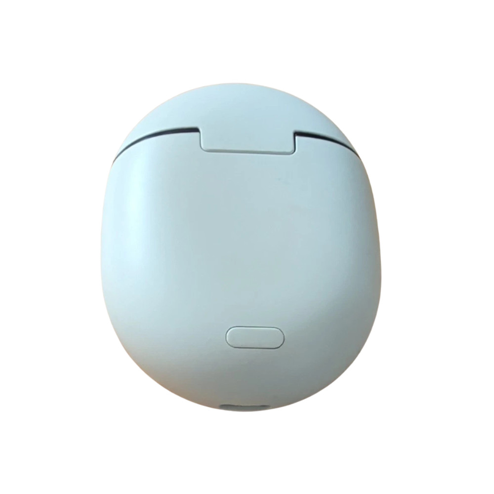 Google Pixel Buds Pro Replacement Charging Case GPX4H