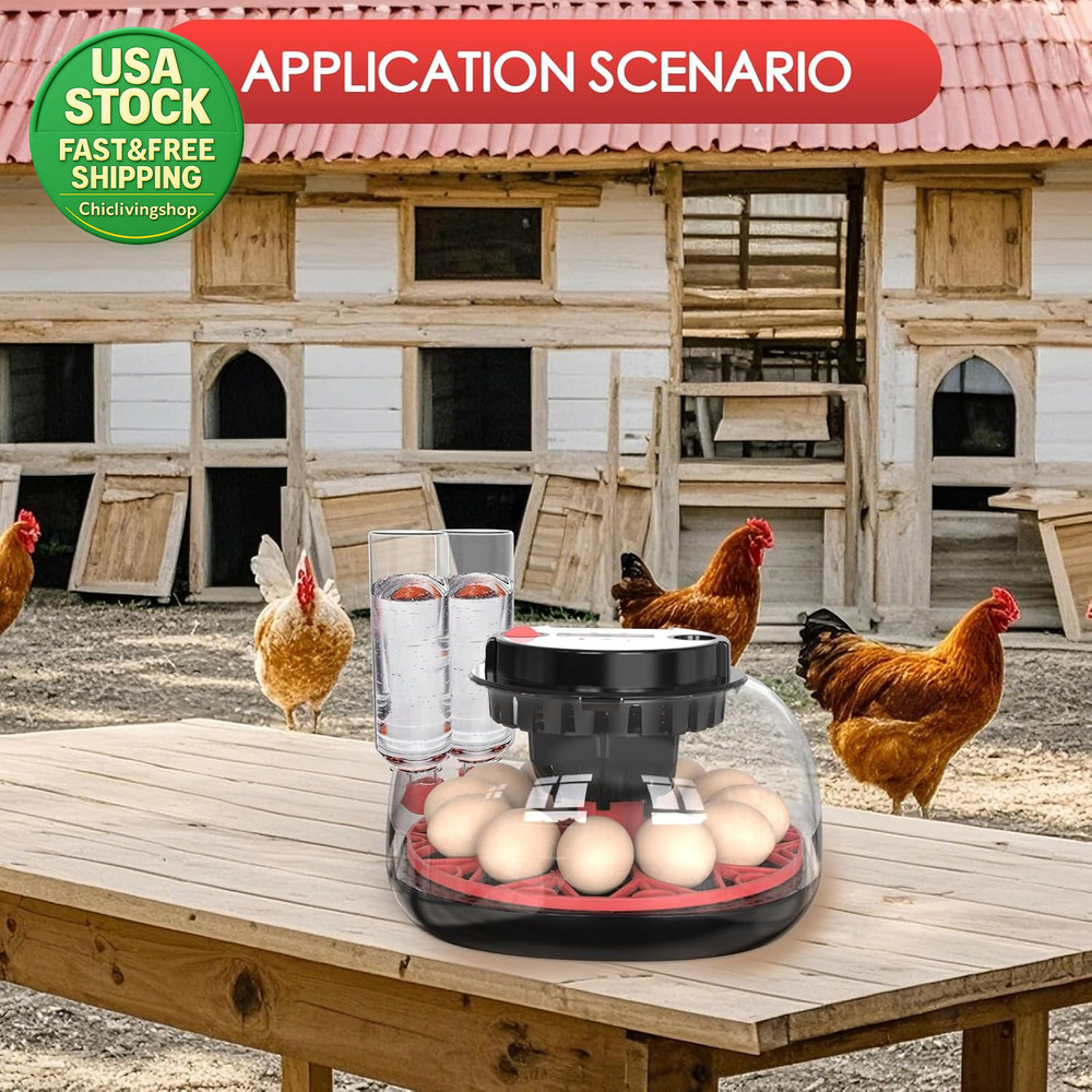 Automatic Egg Incubator 12 Egg Capacity Chicken Duck Goose Digital Display 360