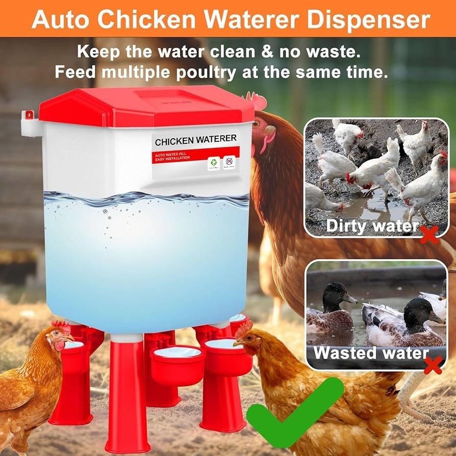 Hanging Automatic Chicken Waterer, Plastic Chicken Water Poultry Drinker