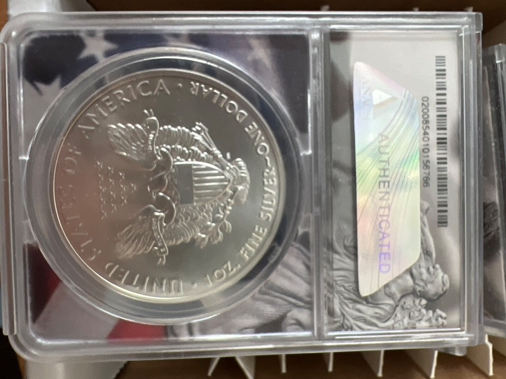 Type 1 Silver Eagles - First Strike
