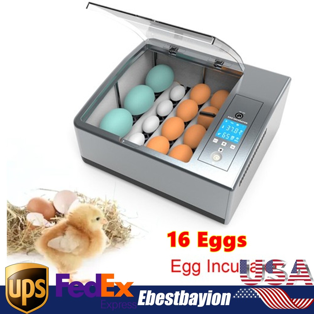✅16 Eggs Egg Incubator for Hatching Egg Full Automatic Turning Duck Chicken Egg