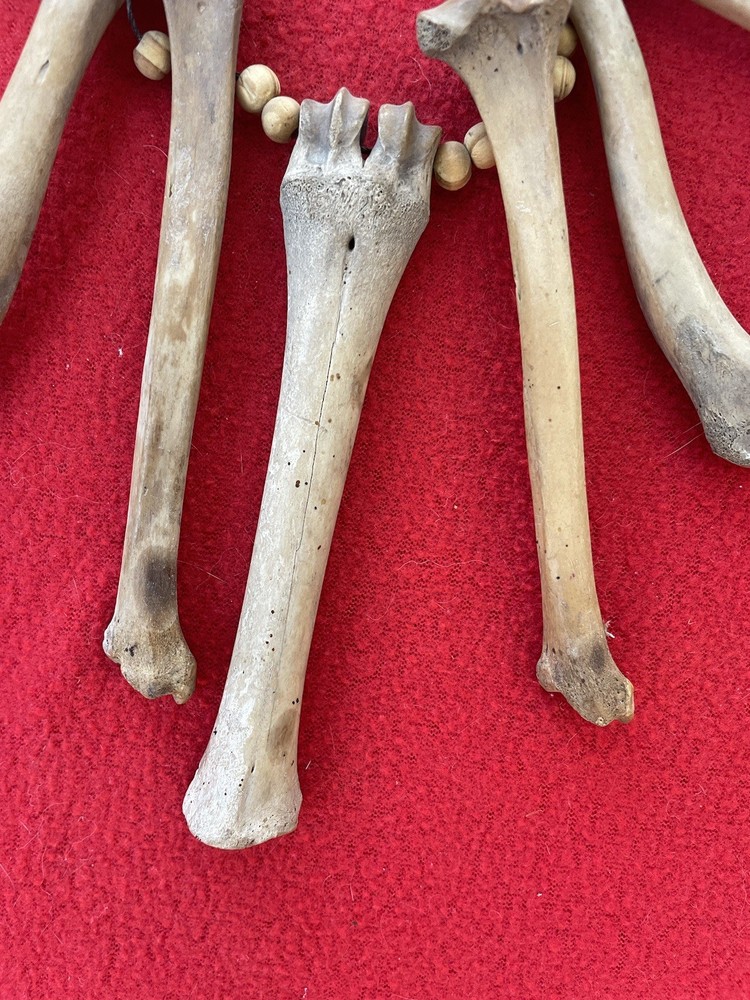 Extraordinary Old Aztec Xoloitzuintle Bone Shaman’s Necklace