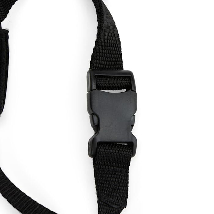 EveryYay Mind Your Manners Nylon Dog Muzzle Small