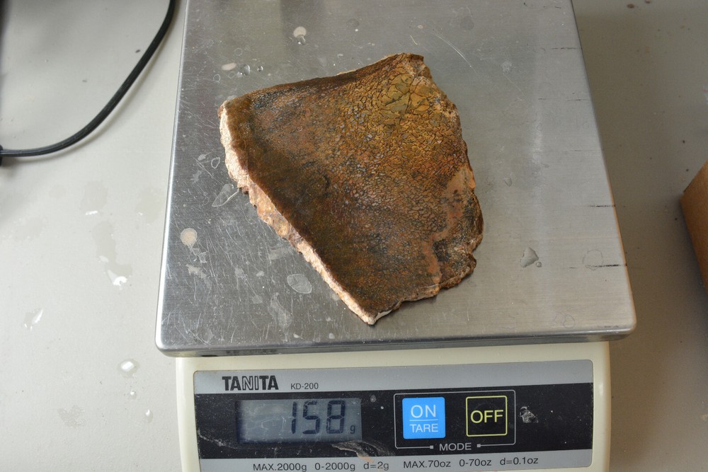 Agatized Dinosaur Bone Slab Utah Ex Shriley Collection