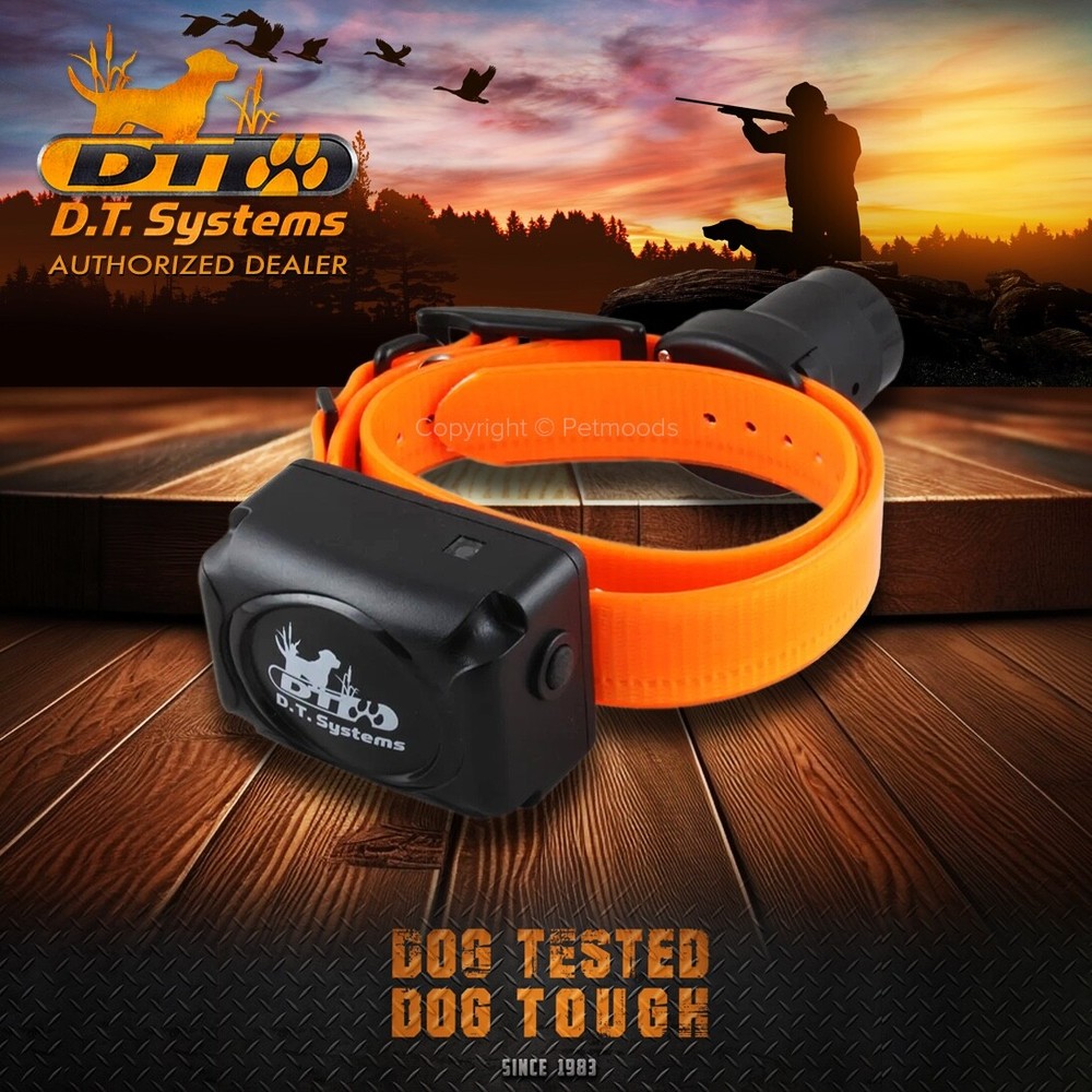 DT Systems H2O 1850 PLUS Remote Dog Trainer Beeper